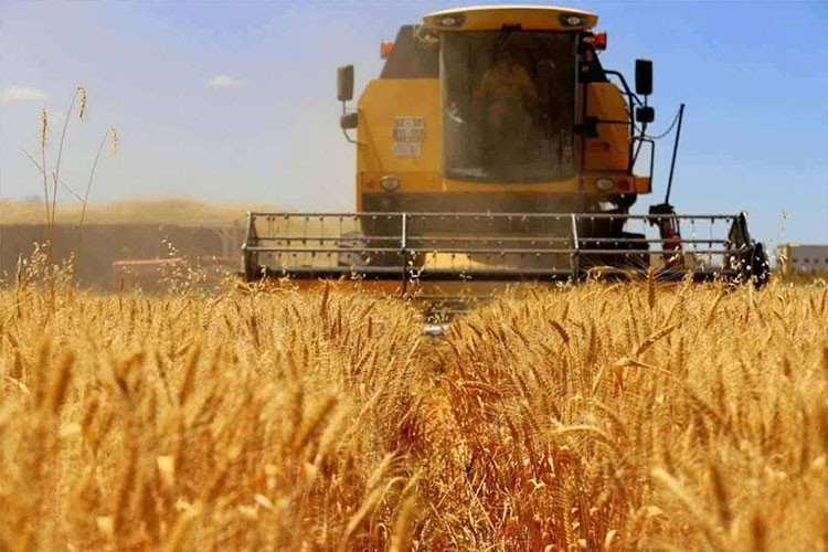 Tarımda üretici enflasyonu yüzde 151,03 oldu